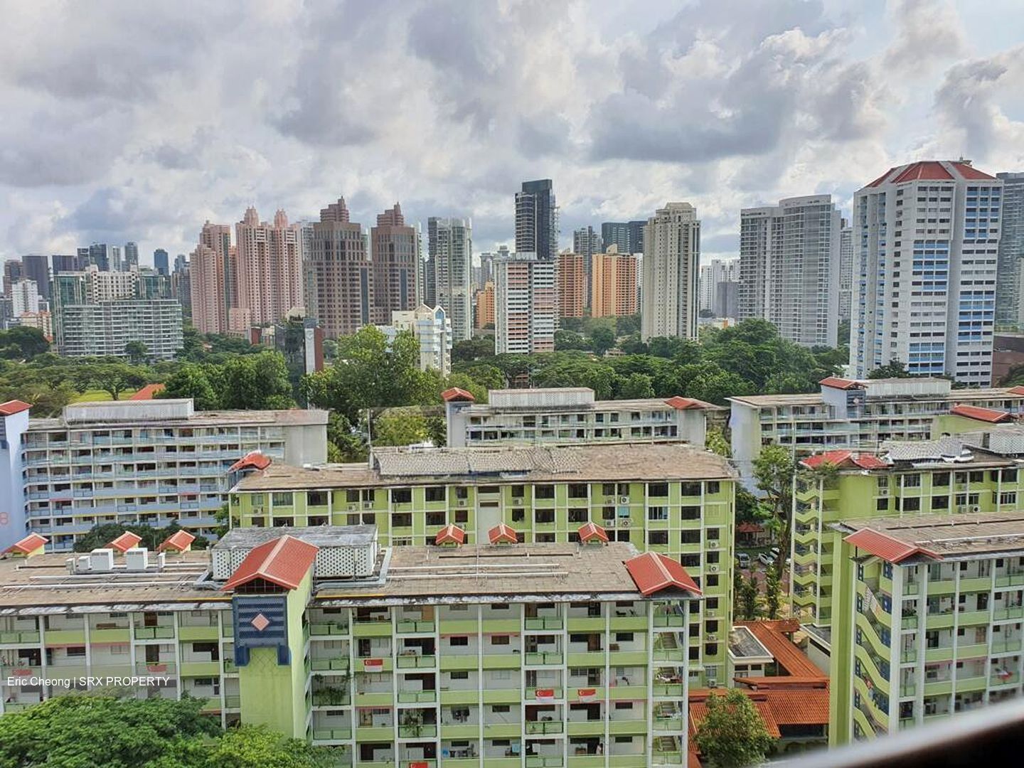 Blk 6A Boon Tiong Arcadia (Bukit Merah), HDB 4 Rooms #524096261
